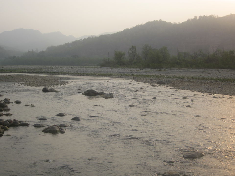 Photo of Meandering Through Whispering Forests And Winding Paths - A Safari To Remember 9/12 by Anjali Chawla