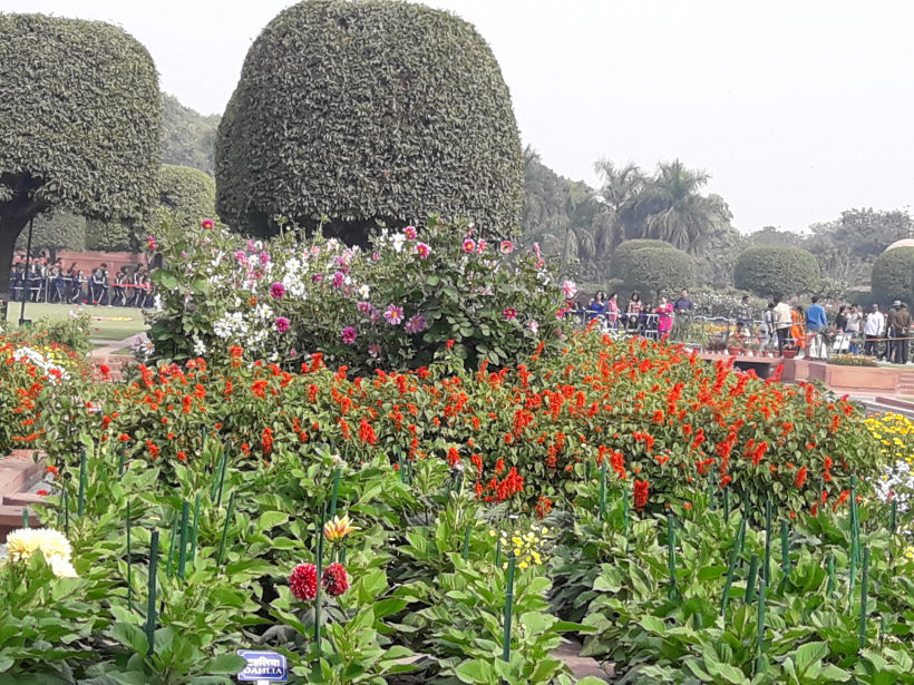 Photo of Blossoming Visit To Mughal Gardens 2/13 by Anjali Chawla