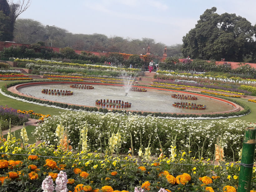 Photo of Blossoming Visit To Mughal Gardens 6/13 by Anjali Chawla