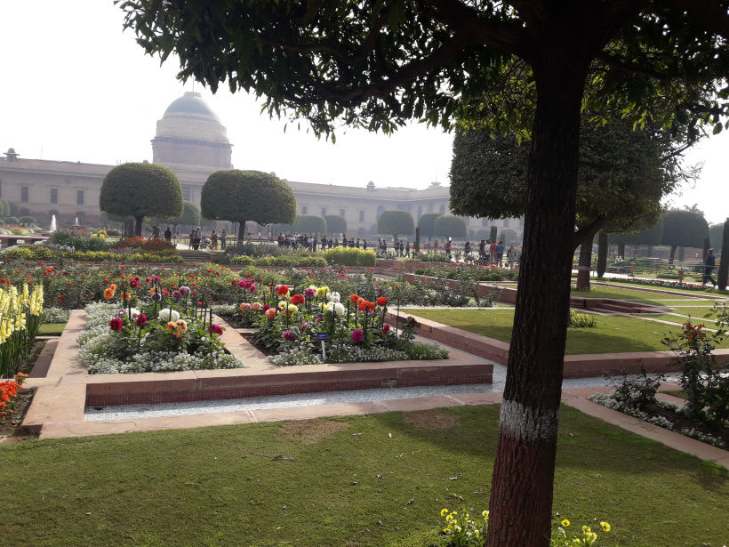 Photo of Blossoming Visit To Mughal Gardens 8/13 by Anjali Chawla