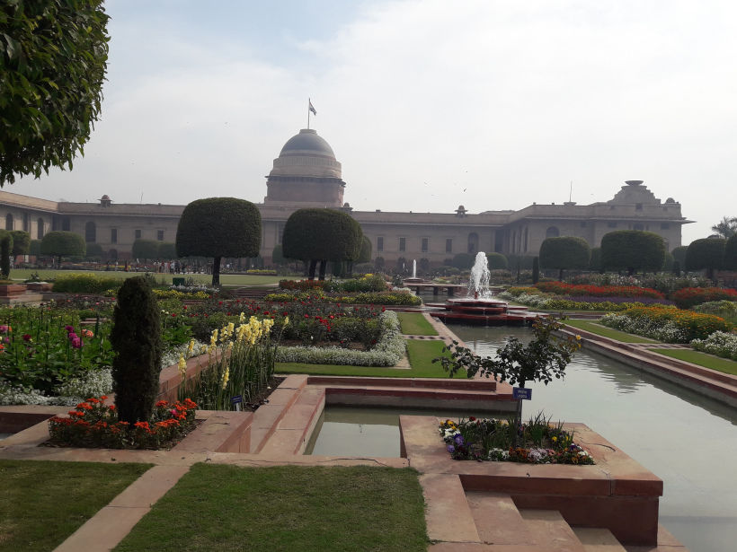 Photo of Blossoming Visit To Mughal Gardens 12/13 by Anjali Chawla