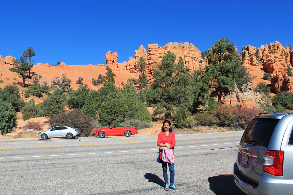 Photo of Best Road Trip Of My Life So Far 8/18 by Anjali Chawla