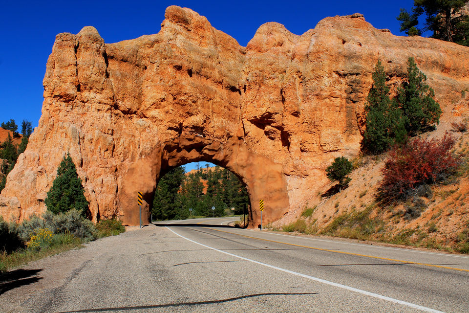 Photo of Best Road Trip Of My Life So Far 9/18 by Anjali Chawla