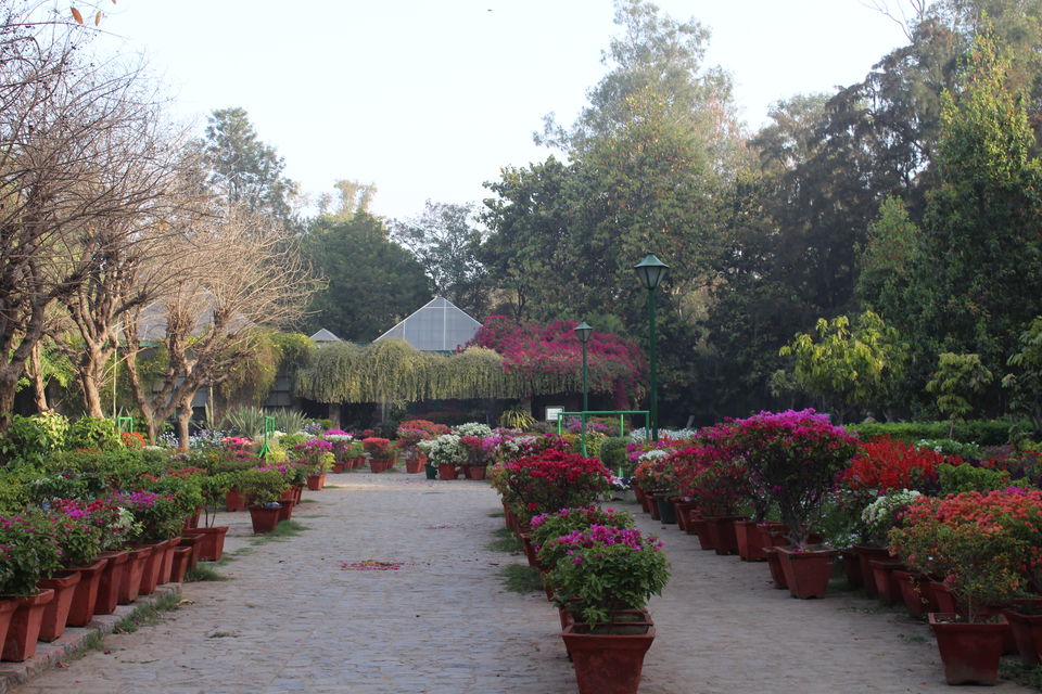 Photo of A Ramble Through Famed Park - Lodhi Gardens 1/21 by Anjali Chawla