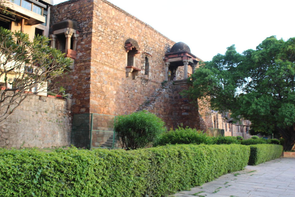 Photo of Ramble In The Ruins - Hauz Khas Complex 1/16 by Anjali Chawla