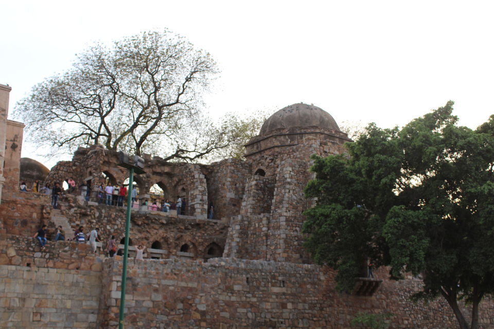 Photo of Ramble In The Ruins - Hauz Khas Complex 5/16 by Anjali Chawla