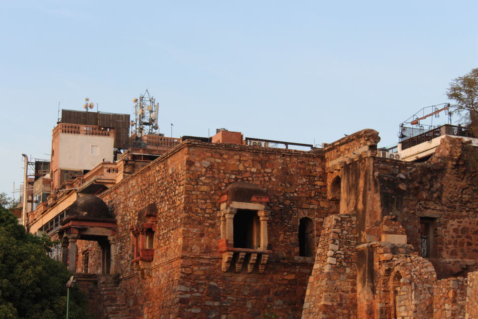 Photo of Ramble In The Ruins - Hauz Khas Complex 8/16 by Anjali Chawla