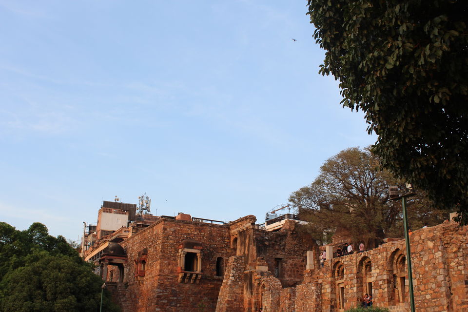 Photo of Ramble In The Ruins - Hauz Khas Complex 9/16 by Anjali Chawla