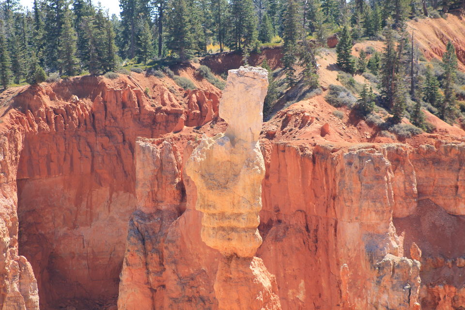 Photo of Photo Gallery: Walking Through Stunning Bryce Canyon 2/9 by Anjali Chawla