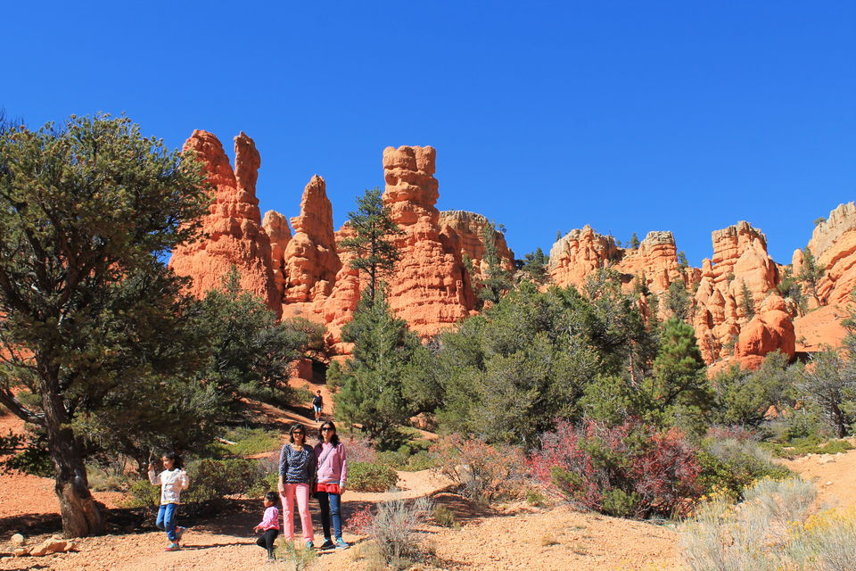 Photo of Photo Gallery: Walking Through Stunning Bryce Canyon 4/9 by Anjali Chawla