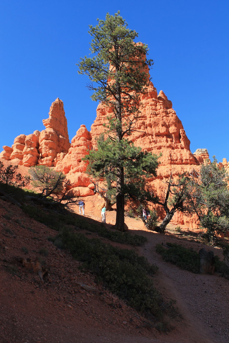 Photo of Photo Gallery: Walking Through Stunning Bryce Canyon 5/9 by Anjali Chawla