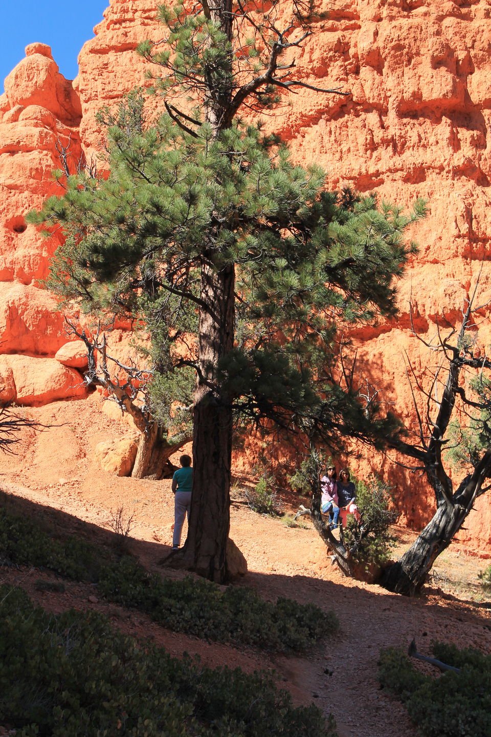Photo of Photo Gallery: Walking Through Stunning Bryce Canyon 7/9 by Anjali Chawla