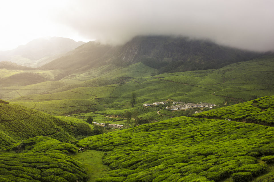 Photo of Suryanelli, Kerala, India by Mithun