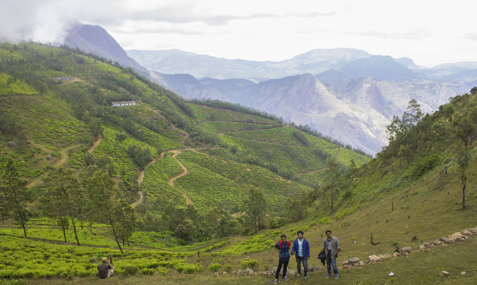 Photo of Kolukkumalai Top Station, Suryanelli-Kolukkumalai Tea Estate Road, Kottagudi, Tamil Nadu, India by Mithun