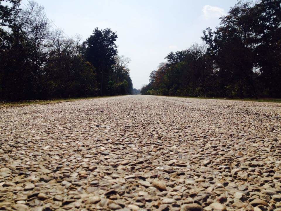 Photo of Road trip to Nepal 1/1 by Dixit Khurana
