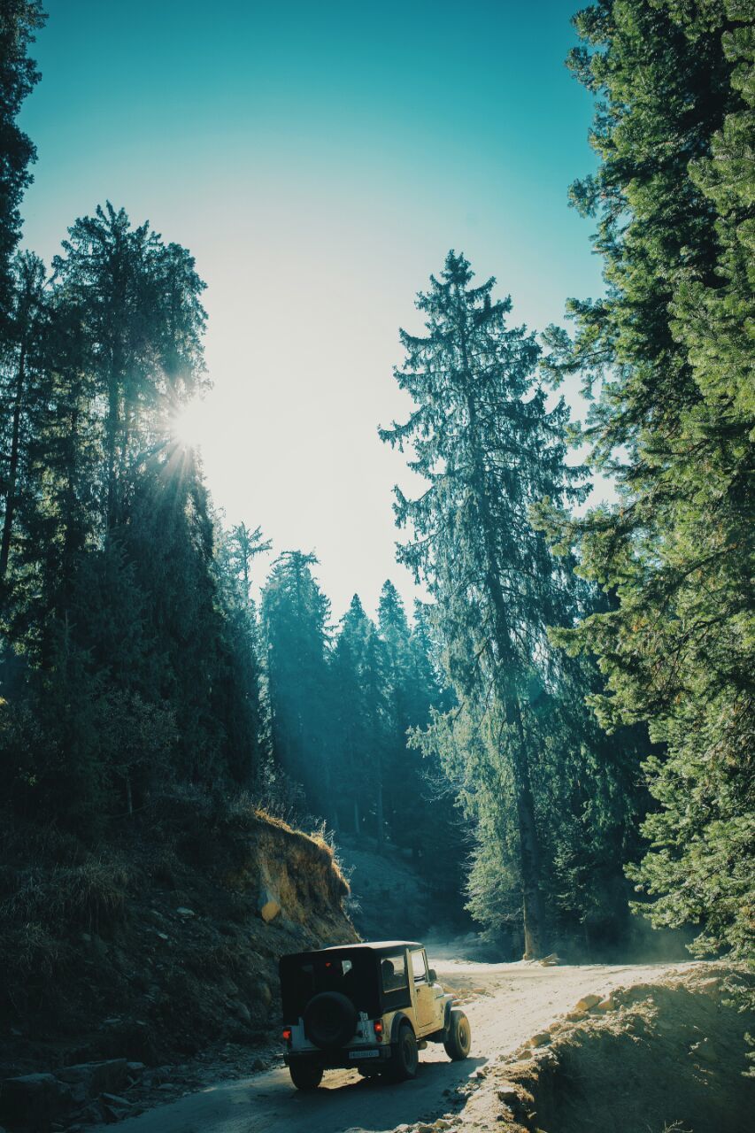 Photo of Jibhi-Jalori: Nature's theatre 8/21 by Shivani Sharma