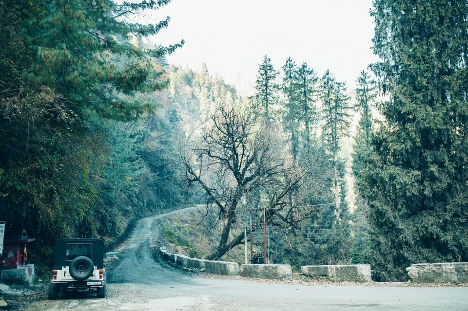 Photo of Jibhi-Jalori: Nature's theatre 10/21 by Shivani Sharma