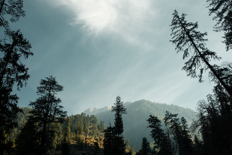 Photo of Jibhi-Jalori: Nature's theatre 6/21 by Shivani Sharma
