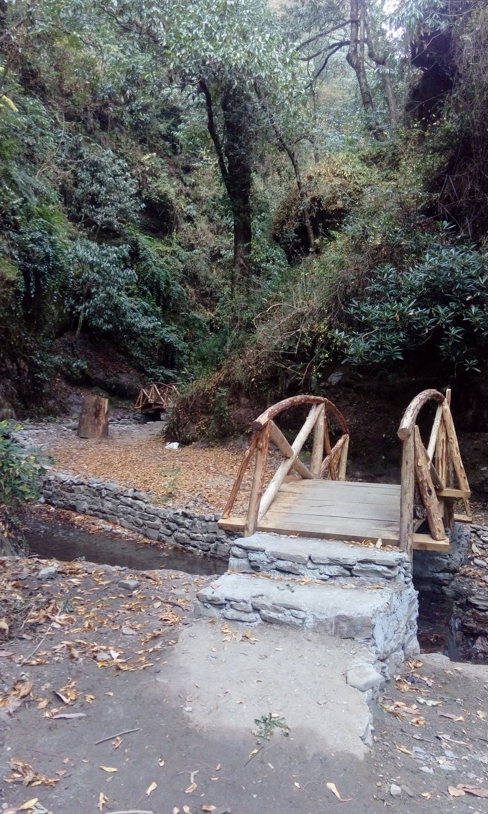 Photo of Jibhi-Jalori: Nature's theatre 2/21 by Shivani Sharma