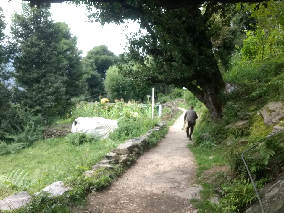 Photo of Vashisht, Himachal Pradesh, India by Aditya Damale