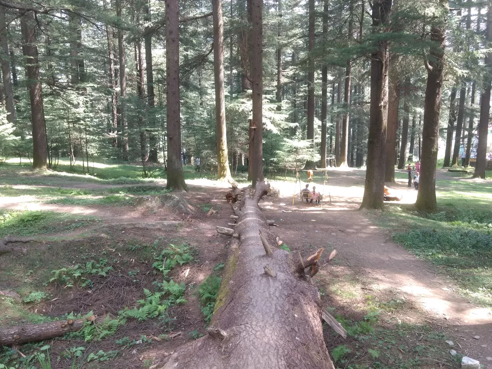 Photo of Nature park, Mall Road, Manali, Himachal Pradesh, India by Aditya Damale
