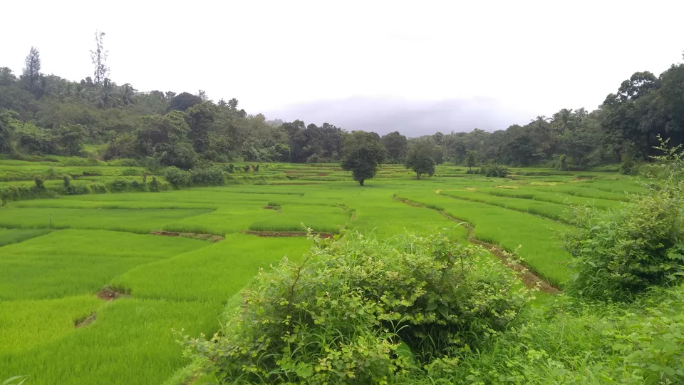 Photo of Palolem Beach, Goa, India by Ruchi