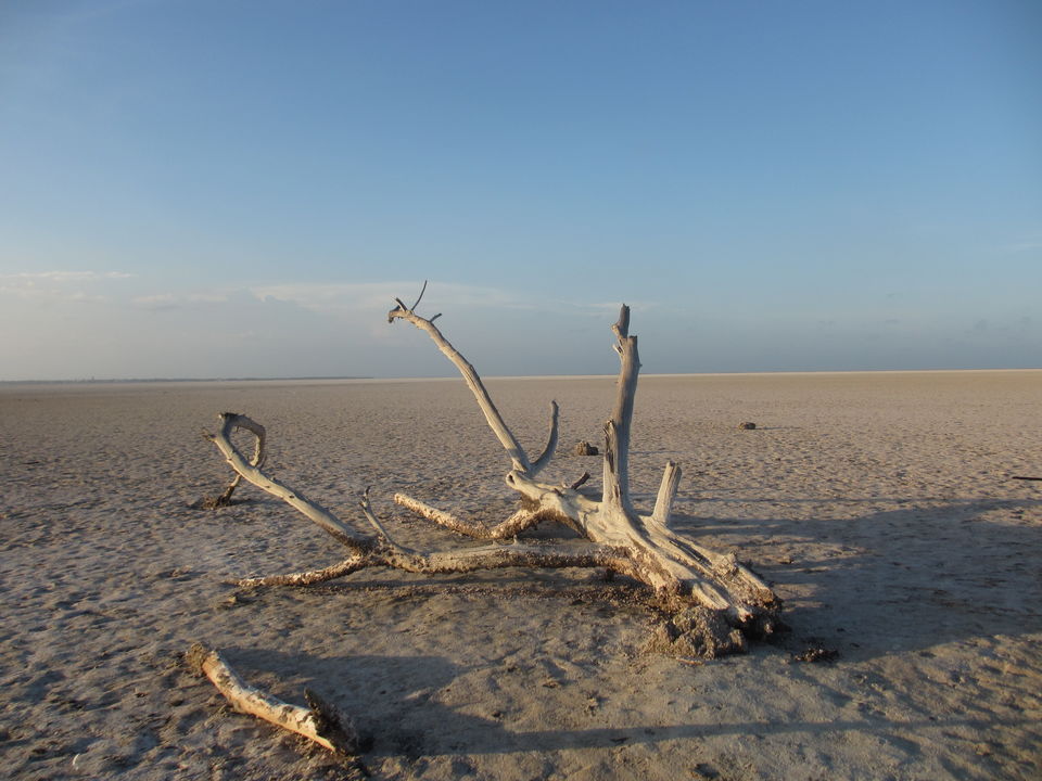 Photo of Road trip to Rameshwaram and Dhanushkodi reminds you the road trip from MIAMI to Key West 13/15 by Ruchi