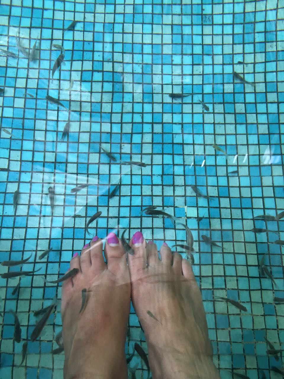 Photo of Relax and Rejuvenate at Mango Mist Resort #summerescape #IssSummerBaharNikal 9/13 by Ruchi