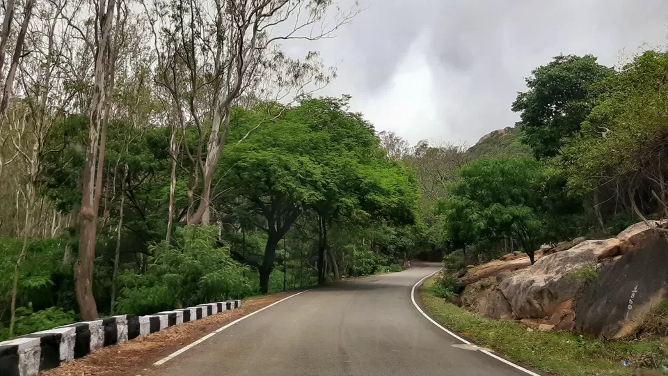 Photo of Horsley Hills, Andhra Pradesh, India by Ruchi