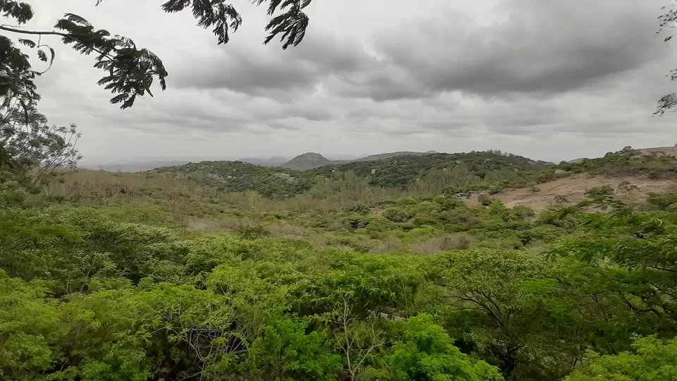 Photo of Have you visited WINDY ROCKS of India ? - Horsley Hills by Ruchi