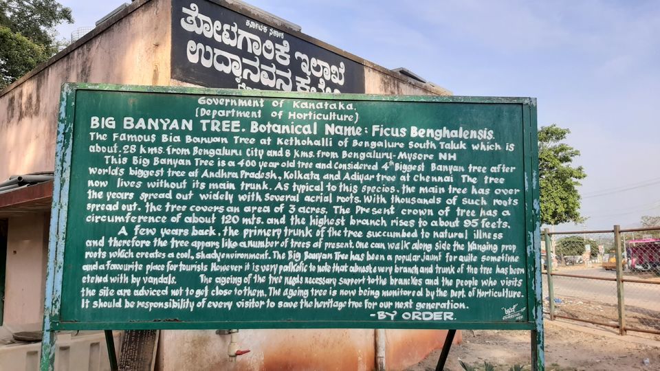 Photo of A Weekend gateway under 30km from Bangalore -Dodda Alada Mara by Ruchi