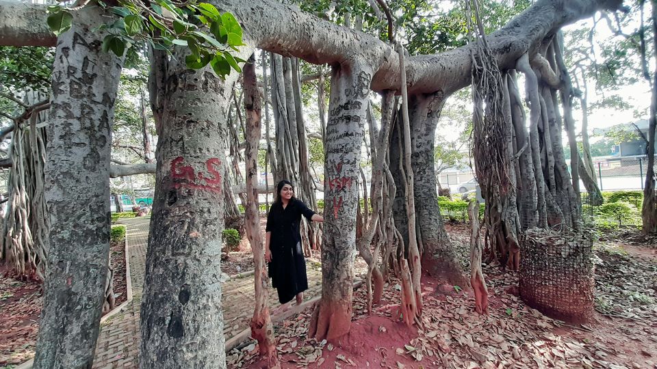 Photo of A Weekend gateway under 30km from Bangalore -Dodda Alada Mara by Ruchi