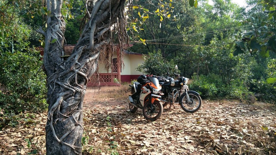 Photo of Baindur, Karnataka, India by The Motographer diaries