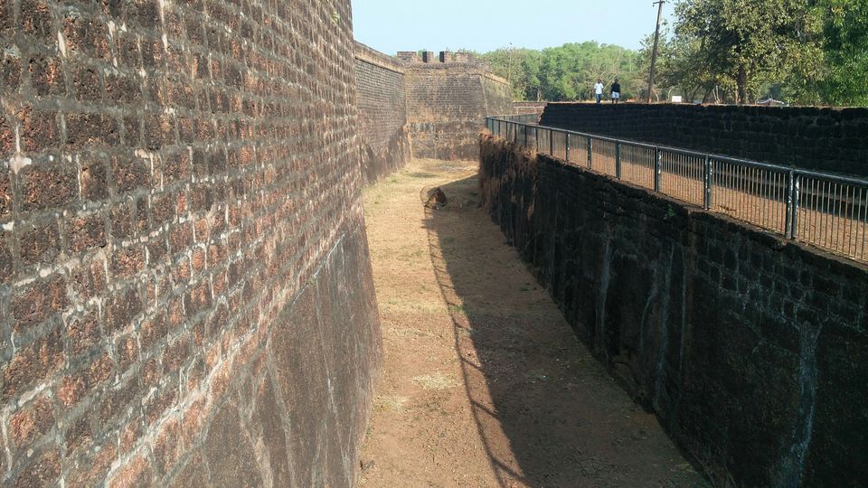 Photo of GOA: From a practical perspective by The Motographer diaries