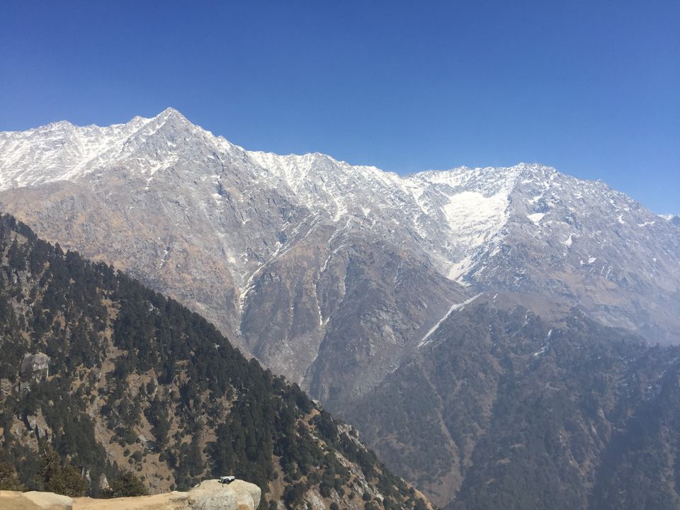 Photo of Life lessons from the Triund trek! 1/2 by Manisha Yadav