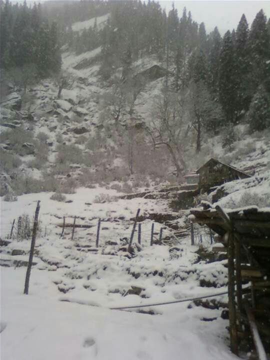 Photo of How to Get High With Magical Nature-kheerganga (Sacred Mountain) by ayush rawat