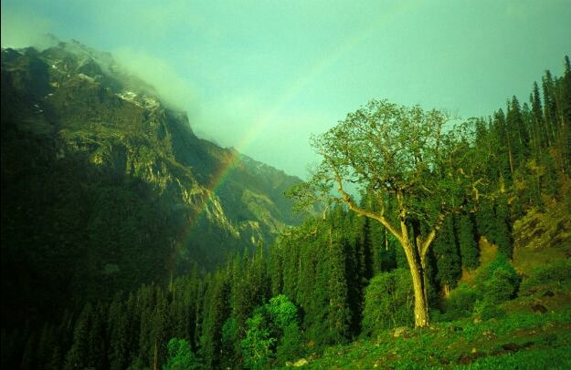 Photo of How to Get High With Magical Nature-kheerganga (Sacred Mountain) by ayush rawat
