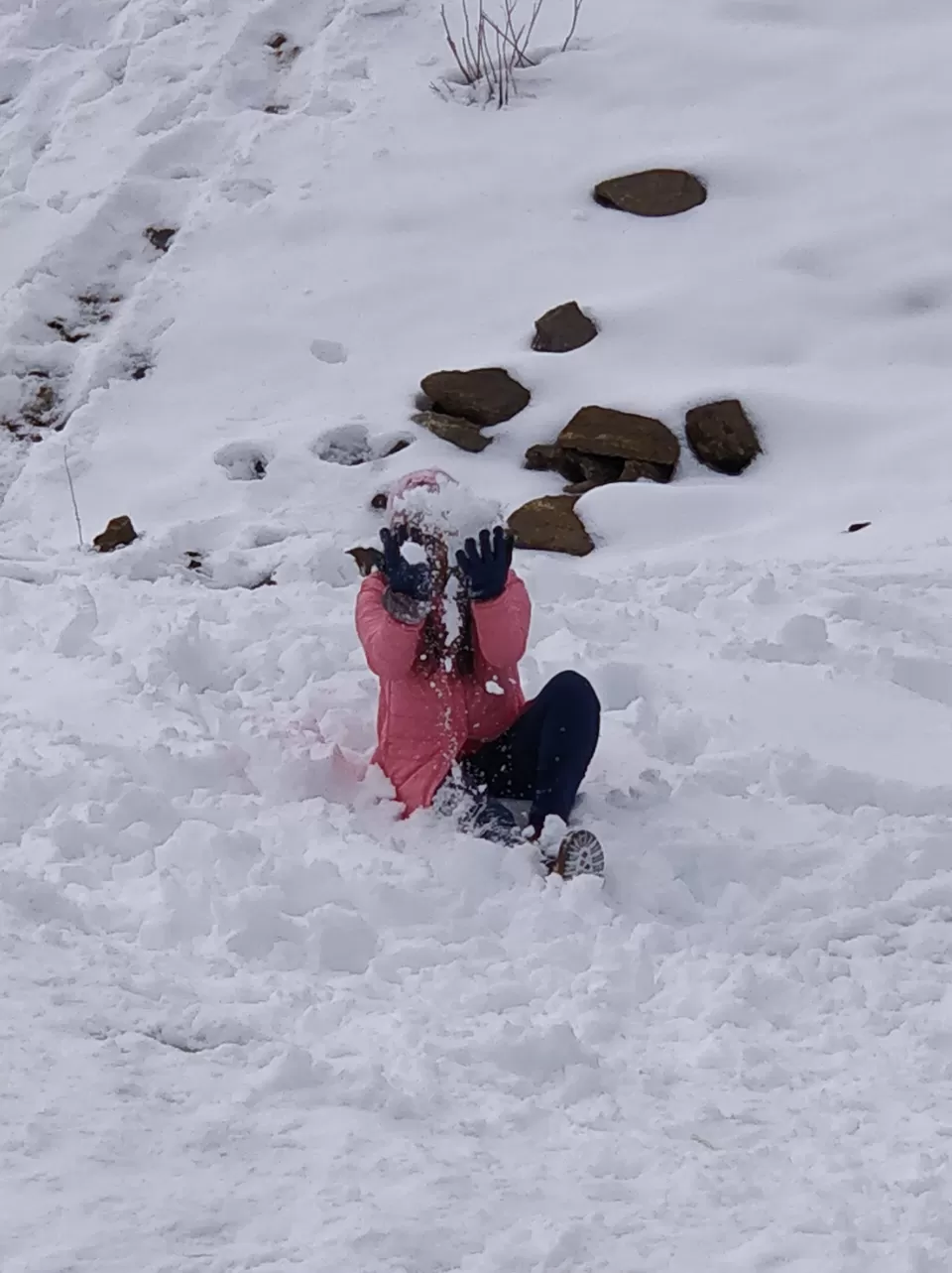 Photo of Auli : Getting there is Half the Fun by ayush rawat