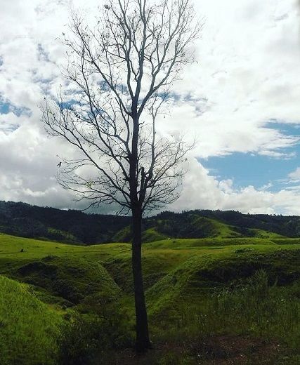 Photo of Zakhama, Nagaland, India by Chandrika Konwar