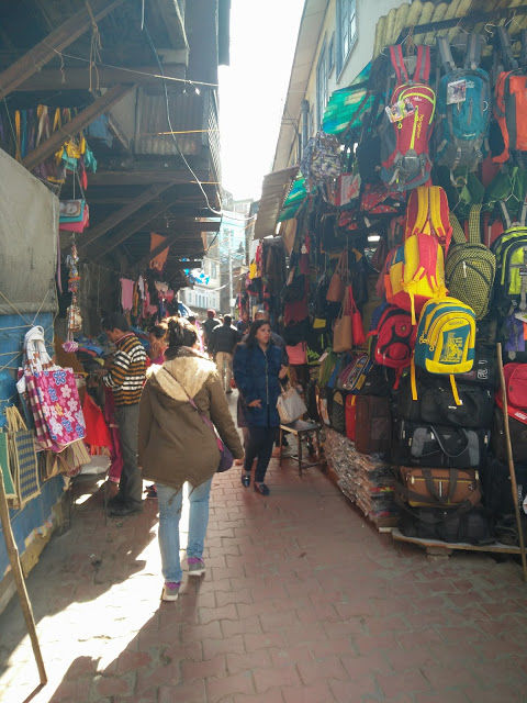 Photo of #BackpackingThroughHimachal – Part 1: Shimla 6/14 by Meena