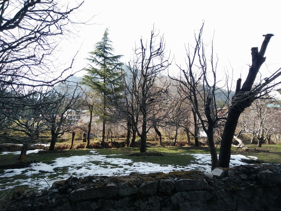 Photo of #BackpackingThroughHimachal - Part 2: Manali 3/13 by Meena