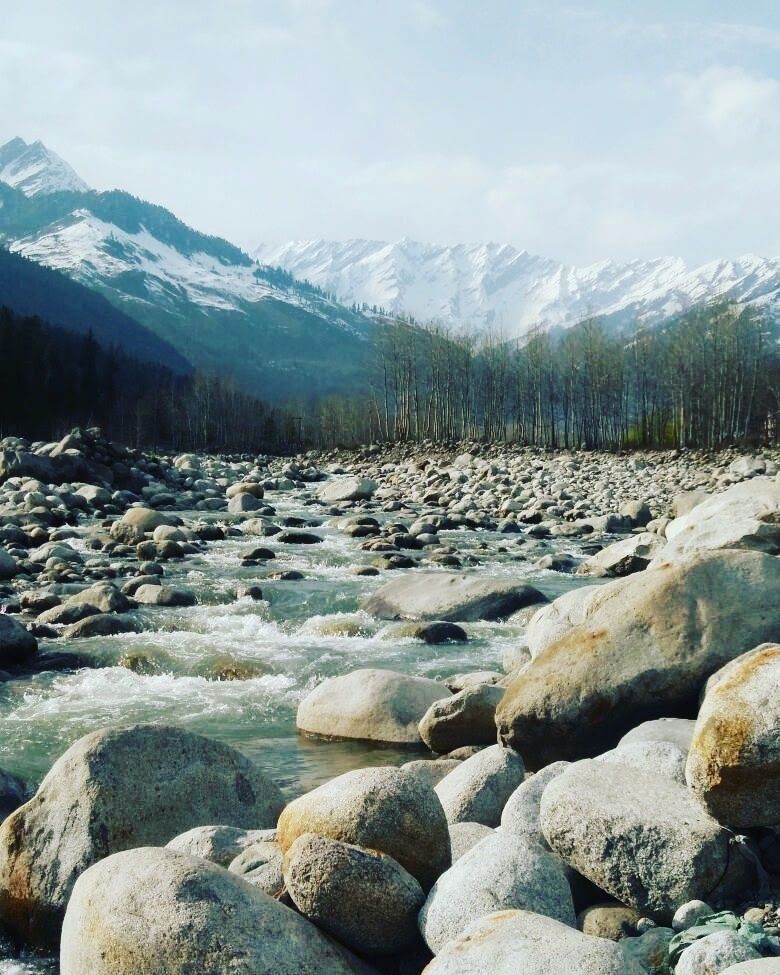 Photo of #BackpackingThroughHimachal - Part 2: Manali 11/13 by Meena