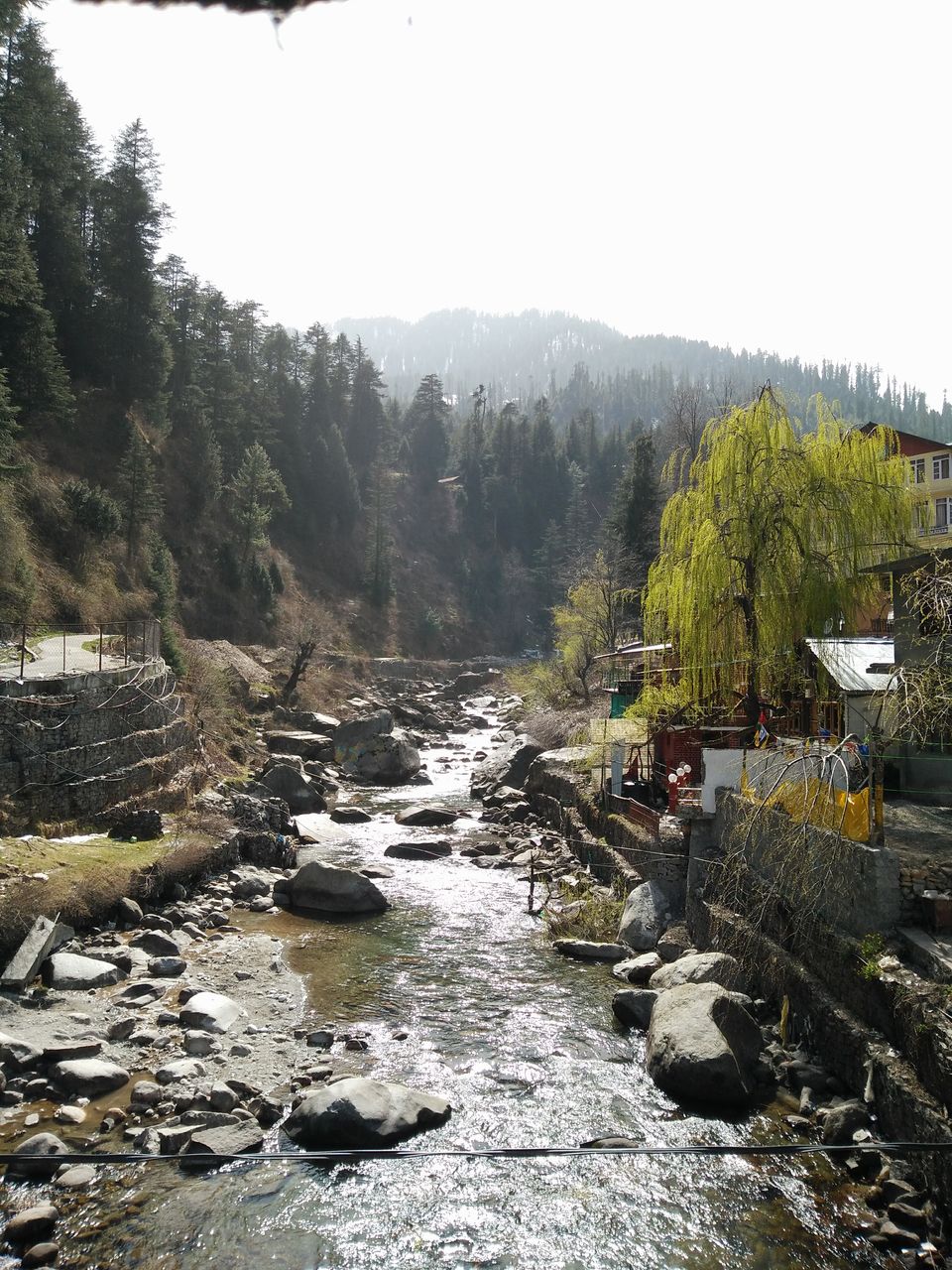 Photo of #BackpackingThroughHimachal - Part 2: Manali 7/13 by Meena