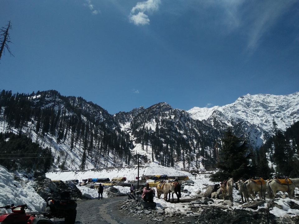 Photo of #BackpackingThroughHimachal - Part 2: Manali 10/13 by Meena
