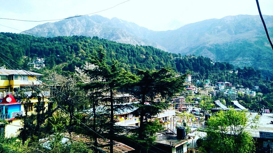 Photo of #BackpackingthroughHimachal: Part 3 - McLeodganj 1/14 by Meena