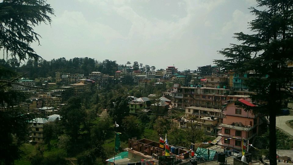 Photo of #BackpackingthroughHimachal: Part 3 - McLeodganj 2/14 by Meena