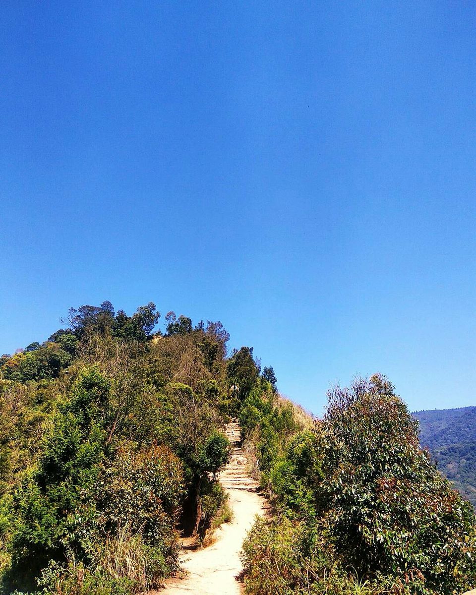 Photo of Munnar - Top Station Highway, Silent Valley, Munnar, Kerala, India by Radhika