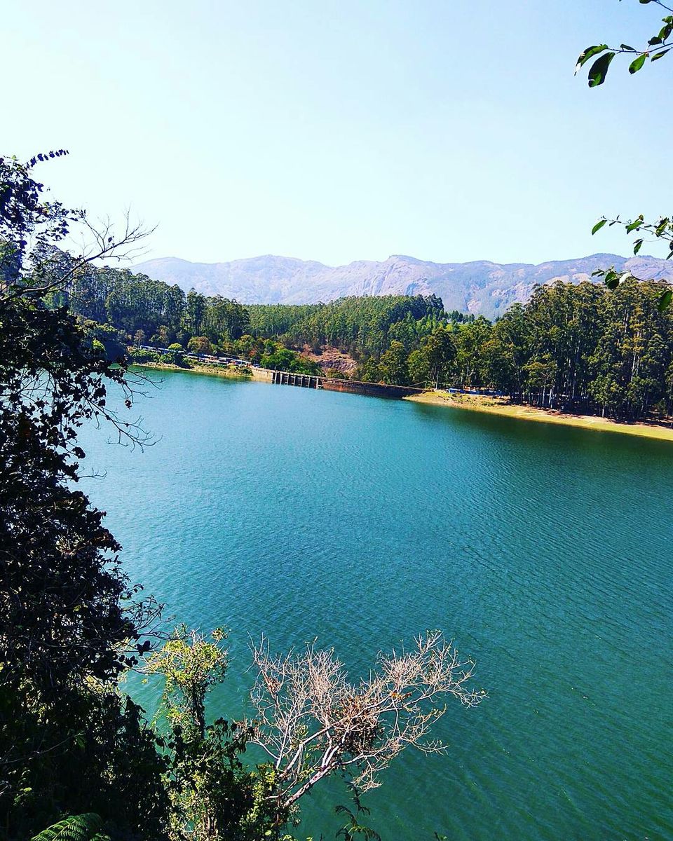 Photo of Munnar - Top Station Highway, Silent Valley, Munnar, Kerala, India by Radhika