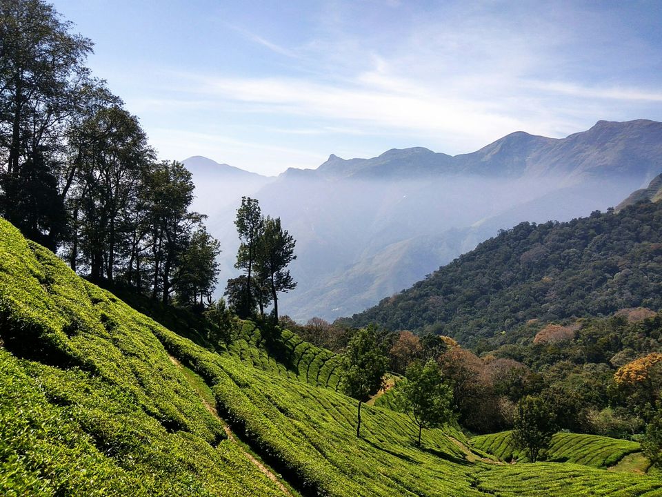 Photo of Munnar - Top Station Highway, Silent Valley, Munnar, Kerala, India by Radhika