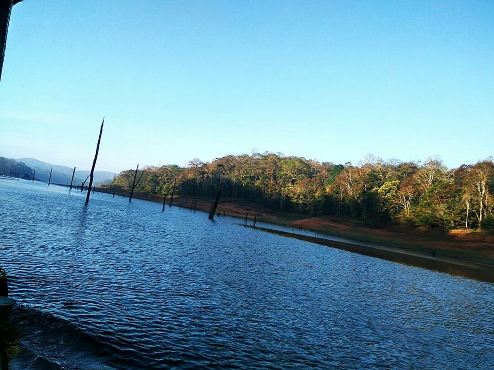 Photo of Periyar Lake, Idukki, Kerala, India by Radhika